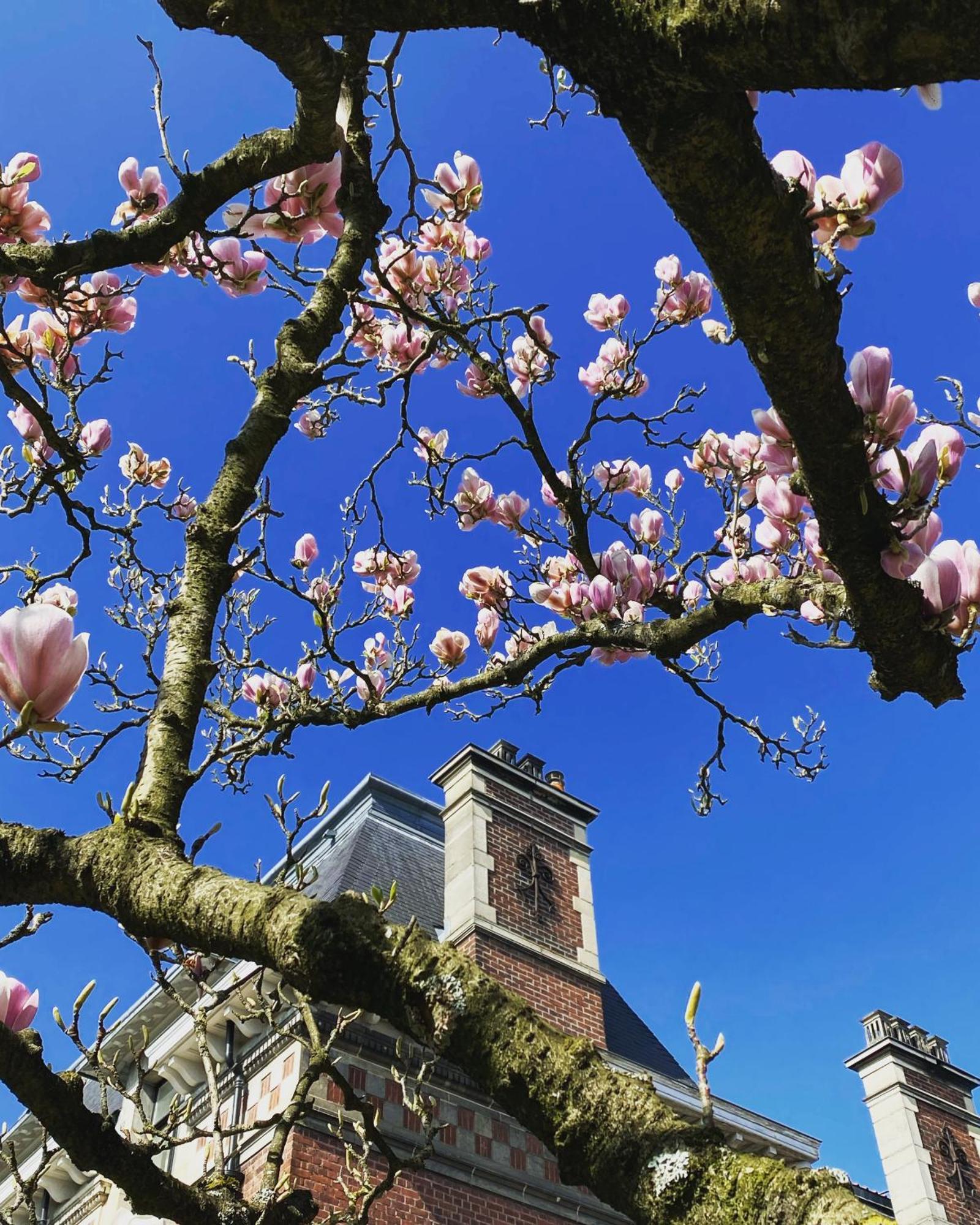 La Villa Barbieux Roubaix Luaran gambar